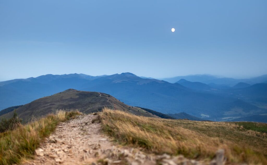 survival w Bieszczadach